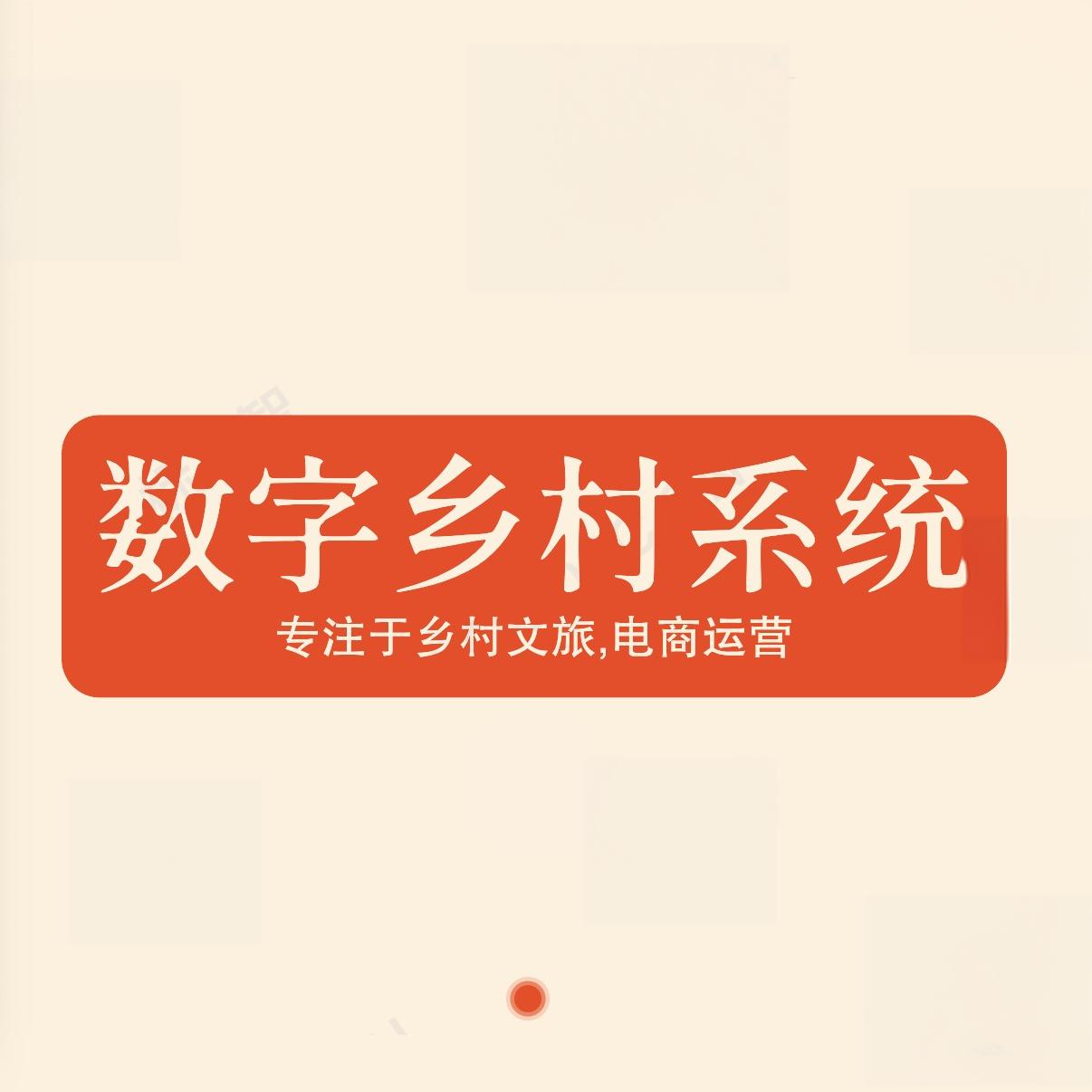 数字化乡村运营系统